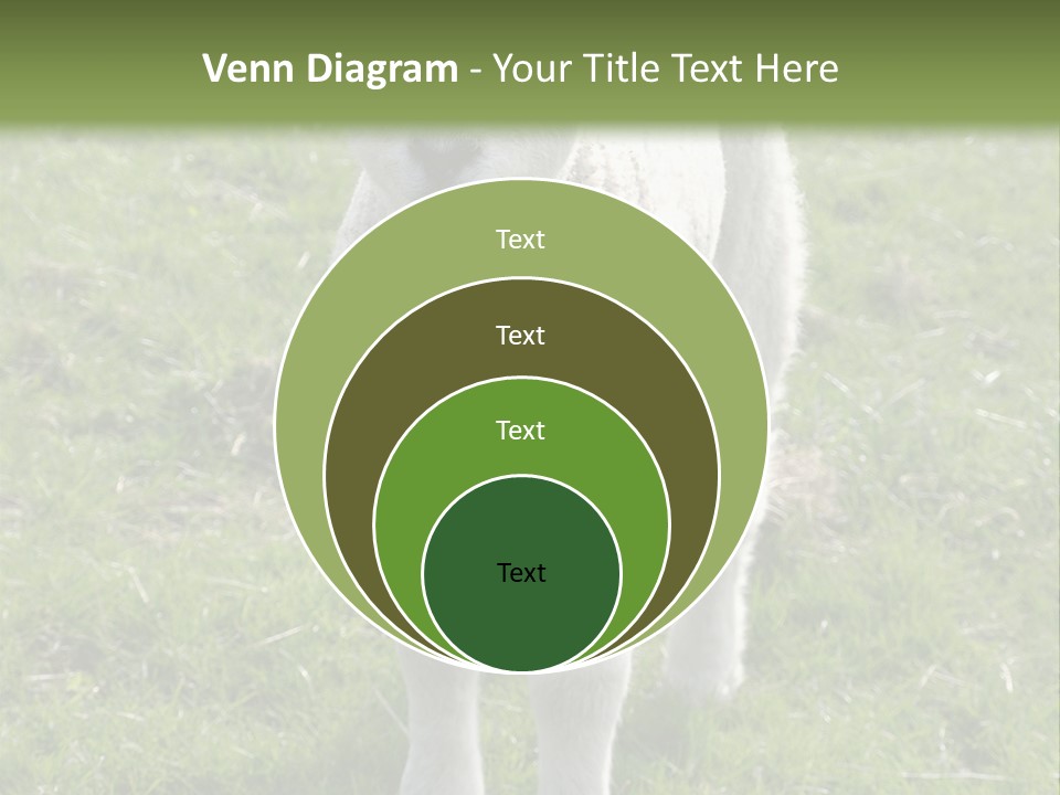 Agri Free Livestock PowerPoint Template