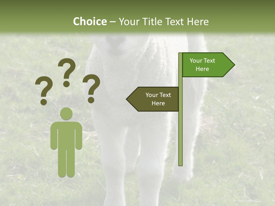 Agri Free Livestock PowerPoint Template