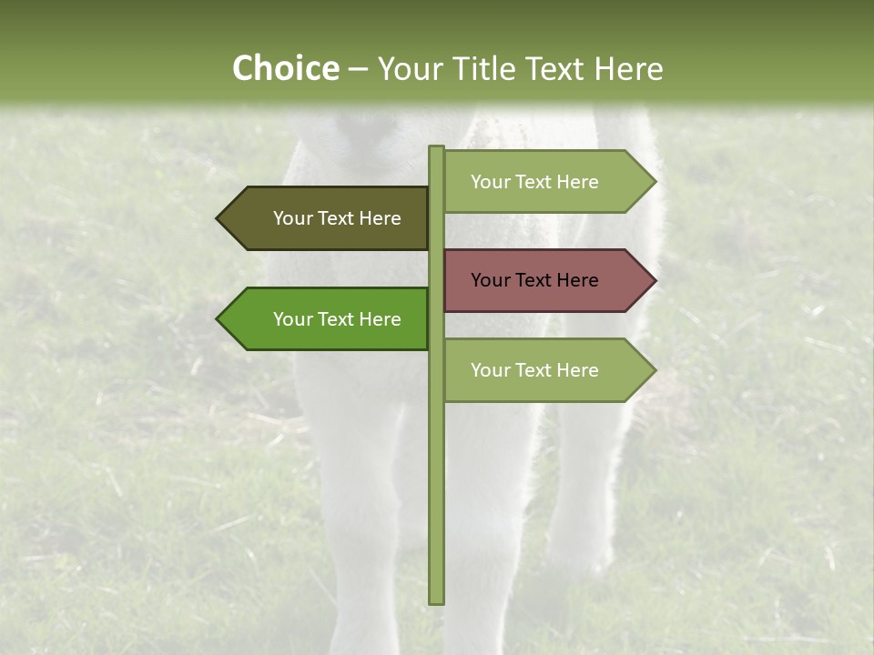 Agri Free Livestock PowerPoint Template