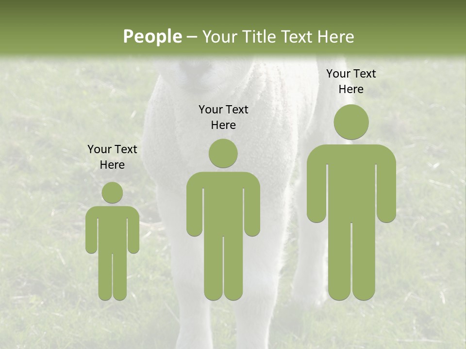 Agri Free Livestock PowerPoint Template
