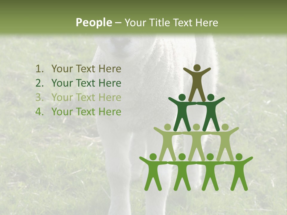 Agri Free Livestock PowerPoint Template
