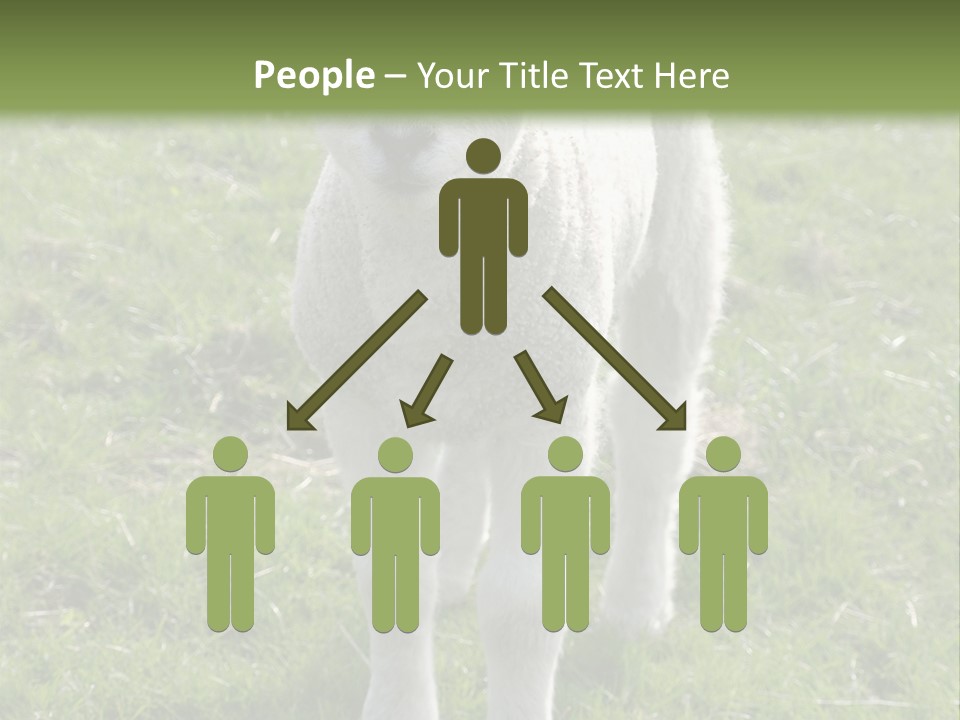 Agri Free Livestock PowerPoint Template