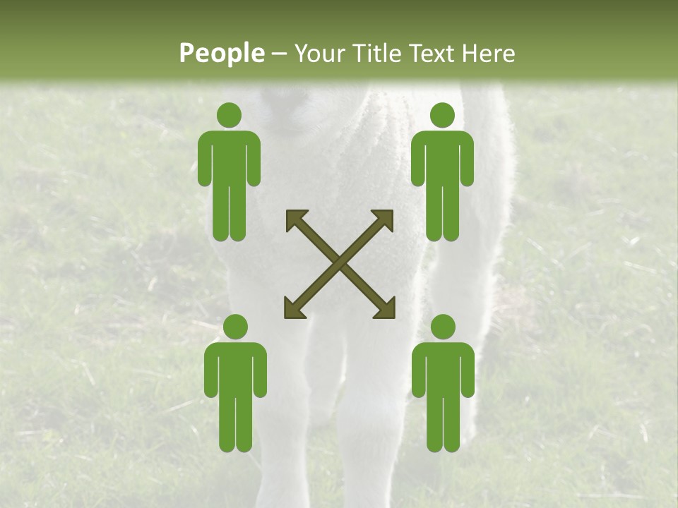 Agri Free Livestock PowerPoint Template