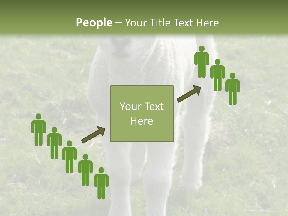 Agri Free Livestock PowerPoint Template