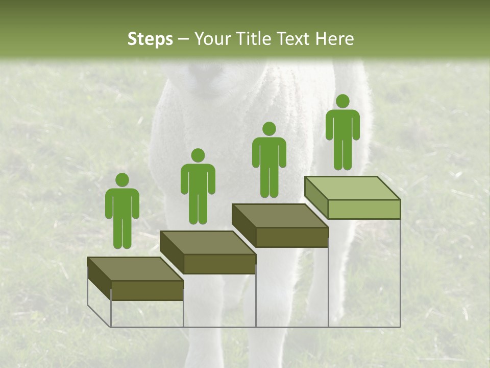 Agri Free Livestock PowerPoint Template