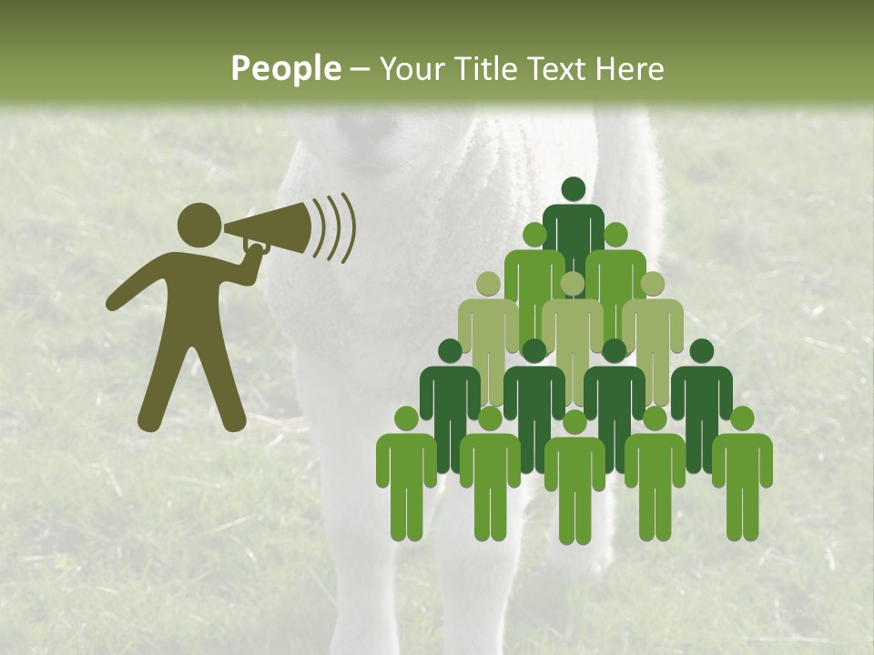 Agri Free Livestock PowerPoint Template