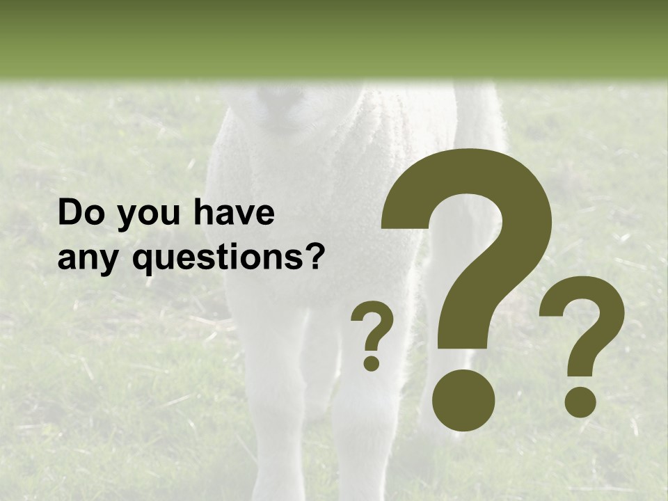 Agri Free Livestock PowerPoint Template