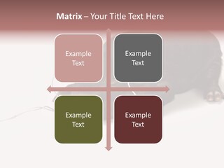 Little Animal Young PowerPoint Template