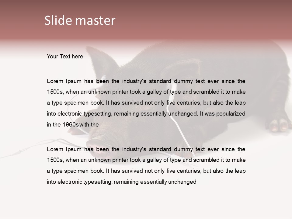 Little Animal Young PowerPoint Template