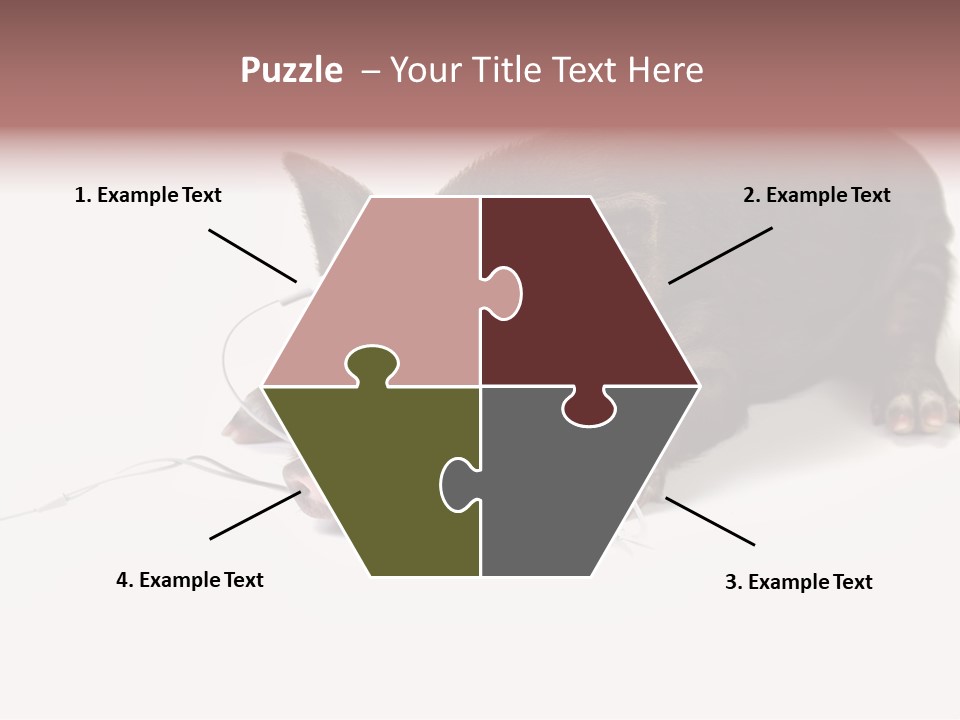 Little Animal Young PowerPoint Template