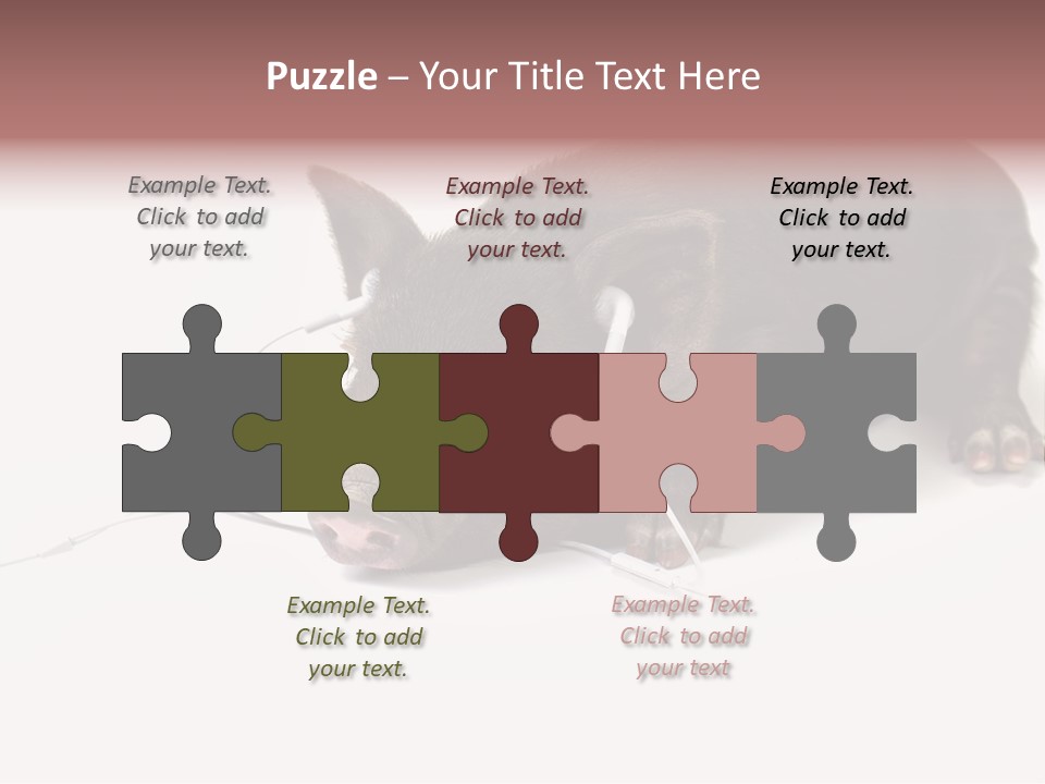 Little Animal Young PowerPoint Template