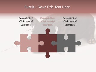 Little Animal Young PowerPoint Template