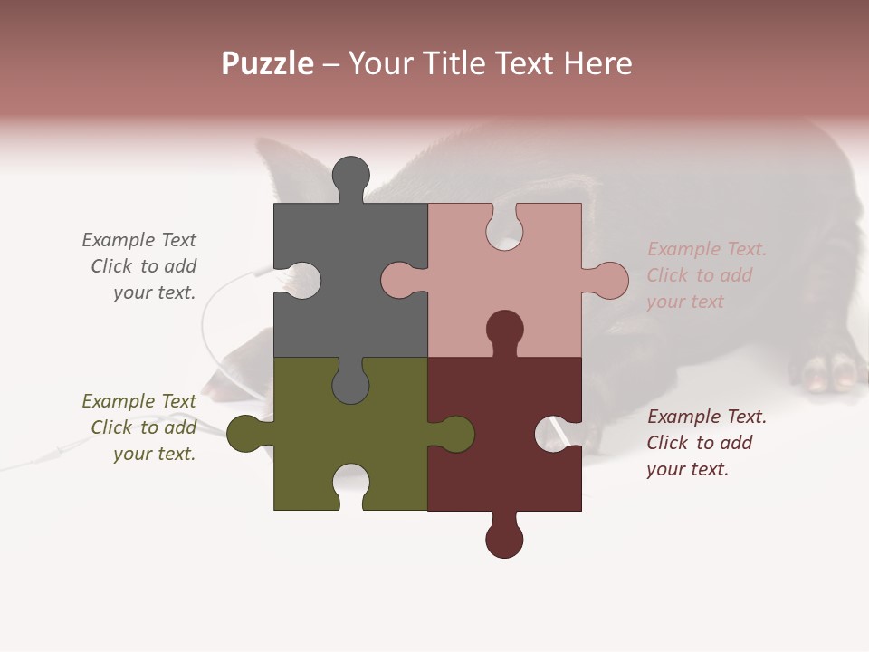 Little Animal Young PowerPoint Template