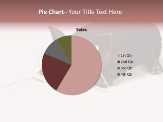 Little Animal Young PowerPoint Template