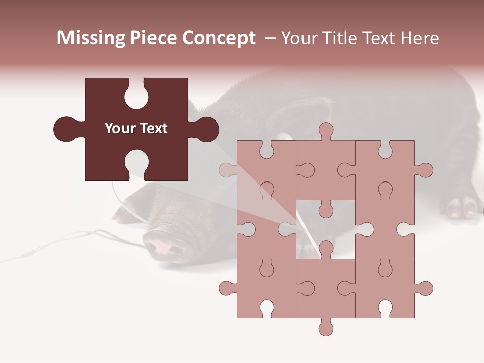 Little Animal Young PowerPoint Template