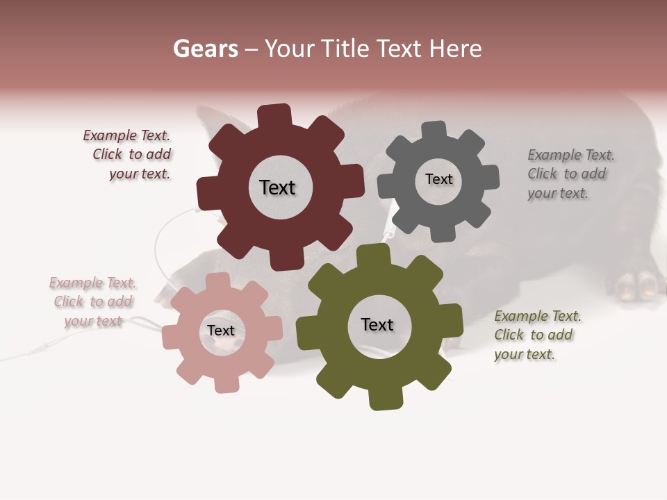 Little Animal Young PowerPoint Template