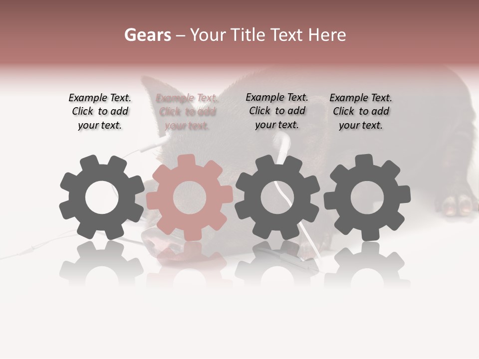 Little Animal Young PowerPoint Template