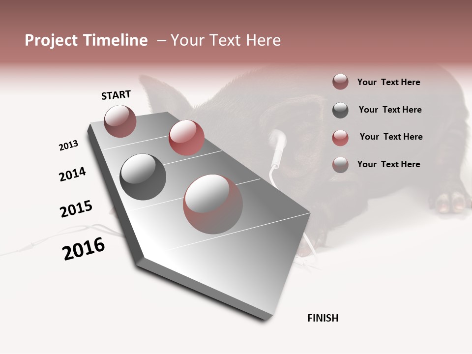 Little Animal Young PowerPoint Template