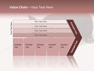 Little Animal Young PowerPoint Template