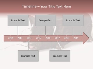Little Animal Young PowerPoint Template