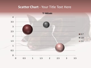 Little Animal Young PowerPoint Template