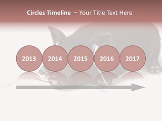 Little Animal Young PowerPoint Template