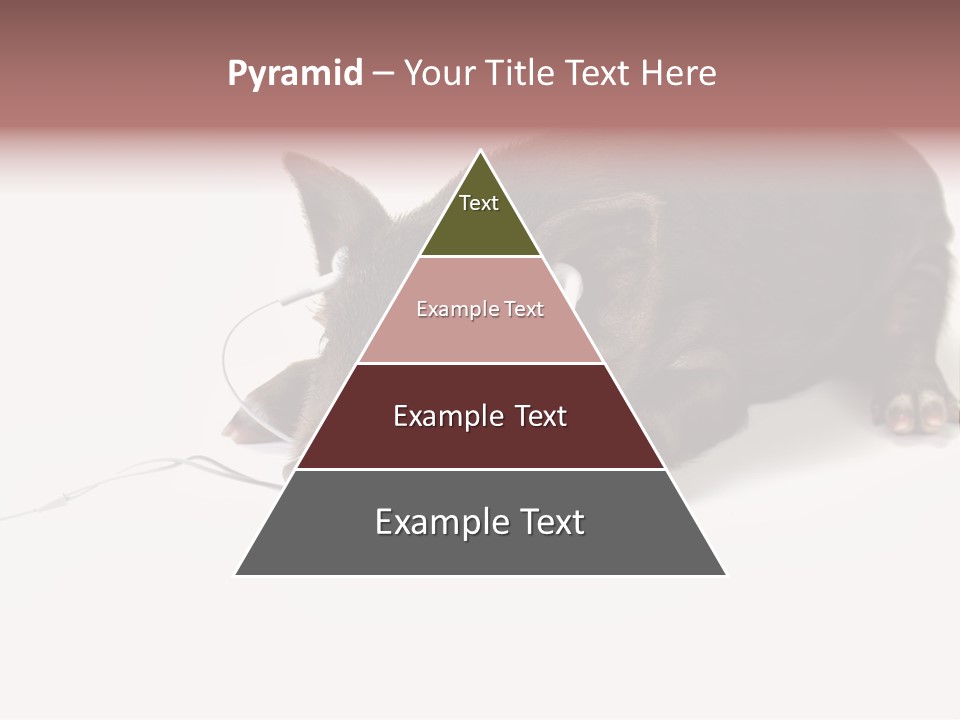 Little Animal Young PowerPoint Template