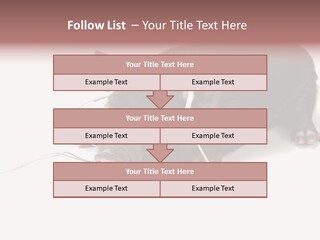 Little Animal Young PowerPoint Template