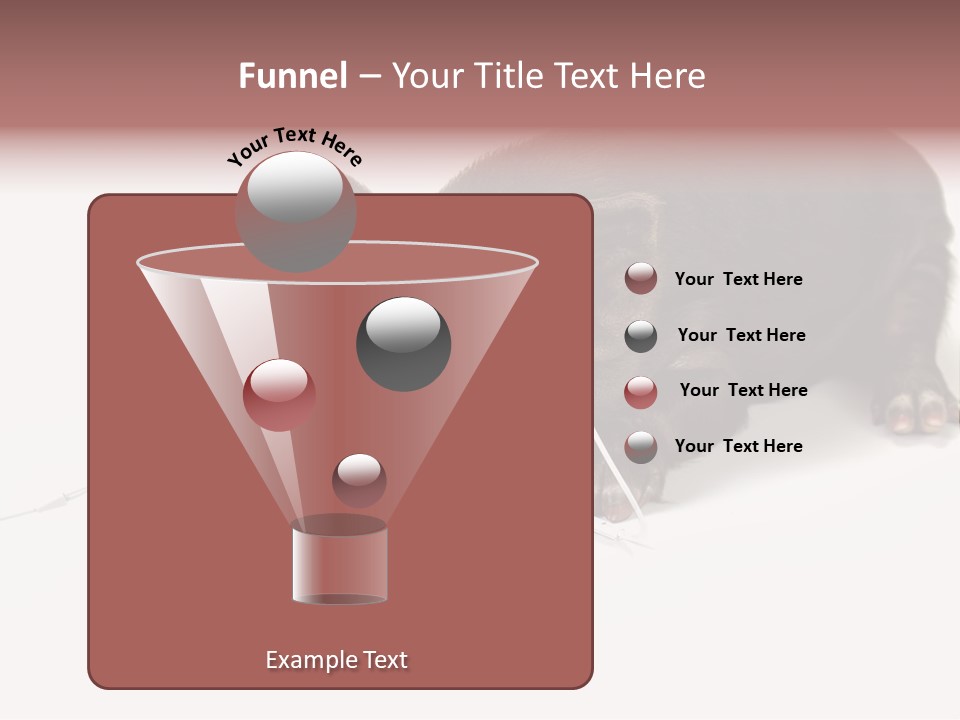 Little Animal Young PowerPoint Template