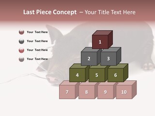 Little Animal Young PowerPoint Template