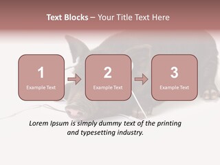 Little Animal Young PowerPoint Template