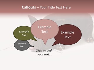 Little Animal Young PowerPoint Template