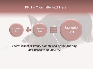 Little Animal Young PowerPoint Template