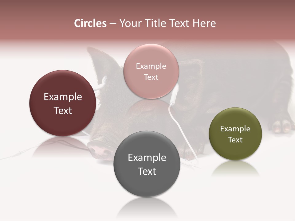 Little Animal Young PowerPoint Template