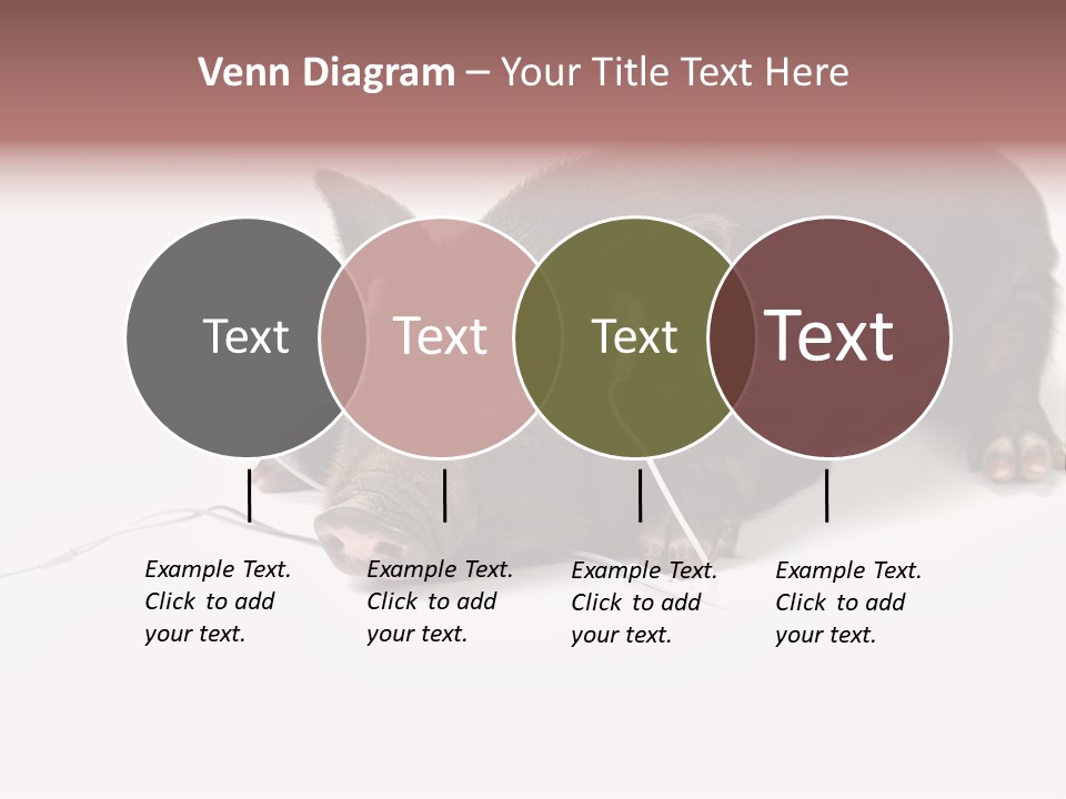 Little Animal Young PowerPoint Template
