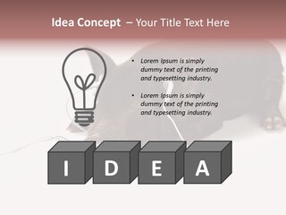 Little Animal Young PowerPoint Template