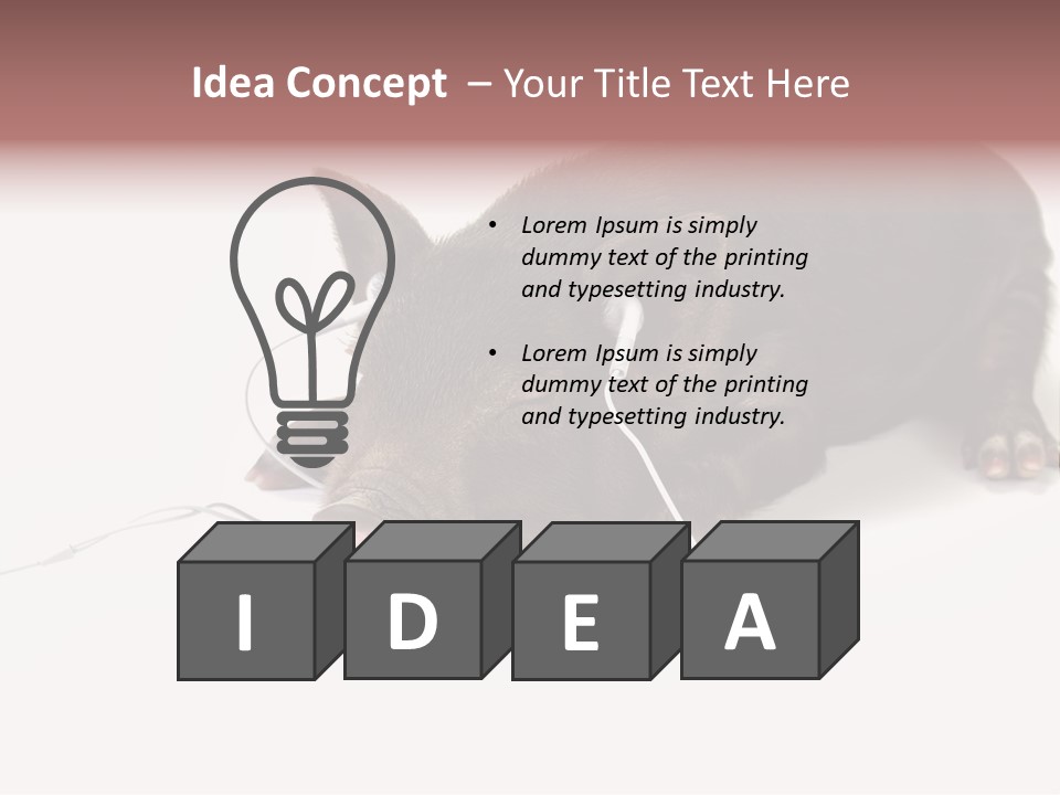 Little Animal Young PowerPoint Template