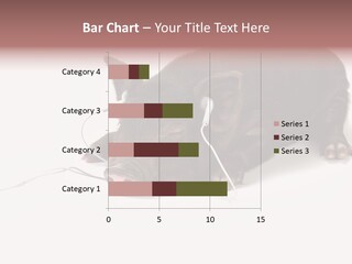 Little Animal Young PowerPoint Template