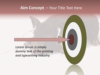 Little Animal Young PowerPoint Template