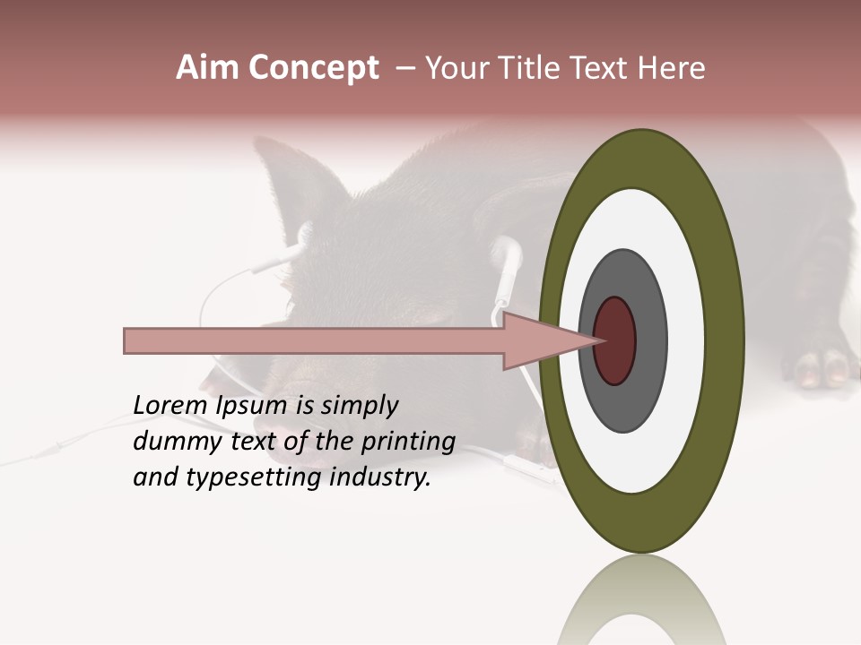Little Animal Young PowerPoint Template