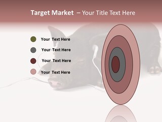 Little Animal Young PowerPoint Template
