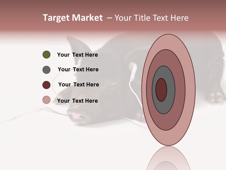 Little Animal Young PowerPoint Template
