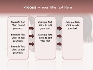 Little Animal Young PowerPoint Template