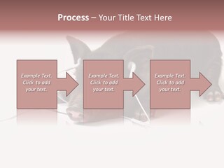 Little Animal Young PowerPoint Template