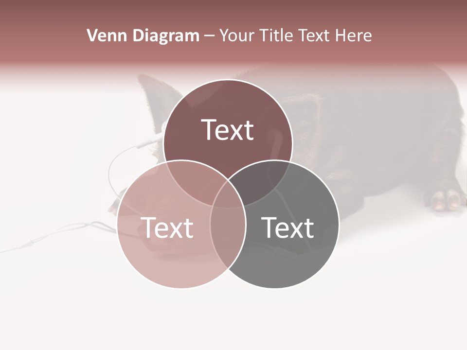 Little Animal Young PowerPoint Template