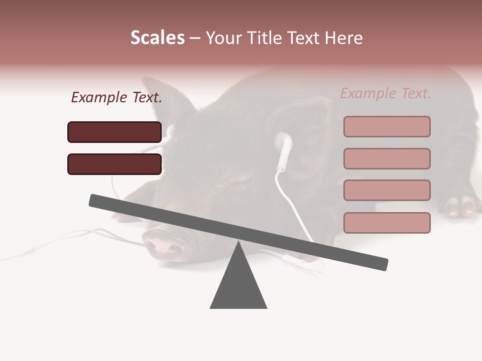 Little Animal Young PowerPoint Template
