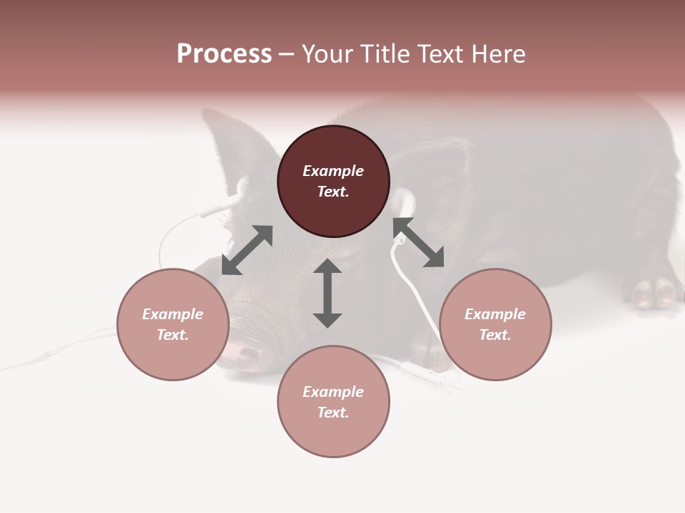 Little Animal Young PowerPoint Template