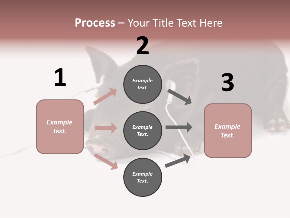 Little Animal Young PowerPoint Template