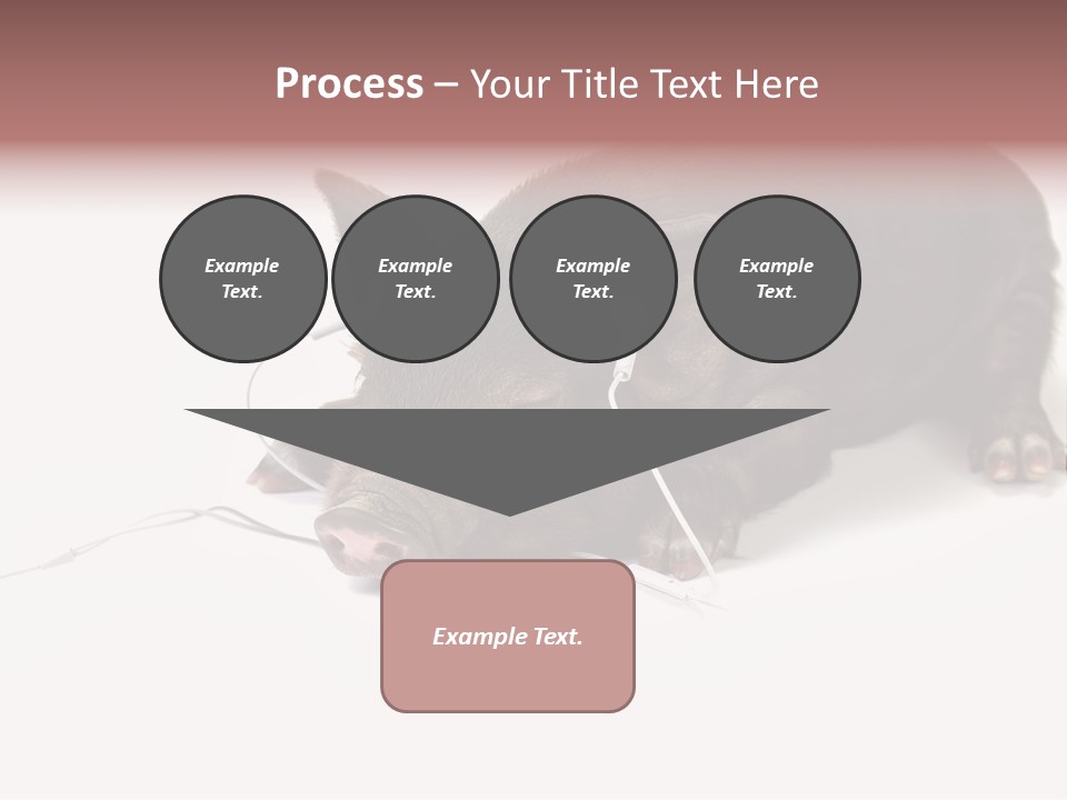 Little Animal Young PowerPoint Template