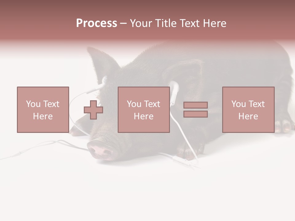 Little Animal Young PowerPoint Template